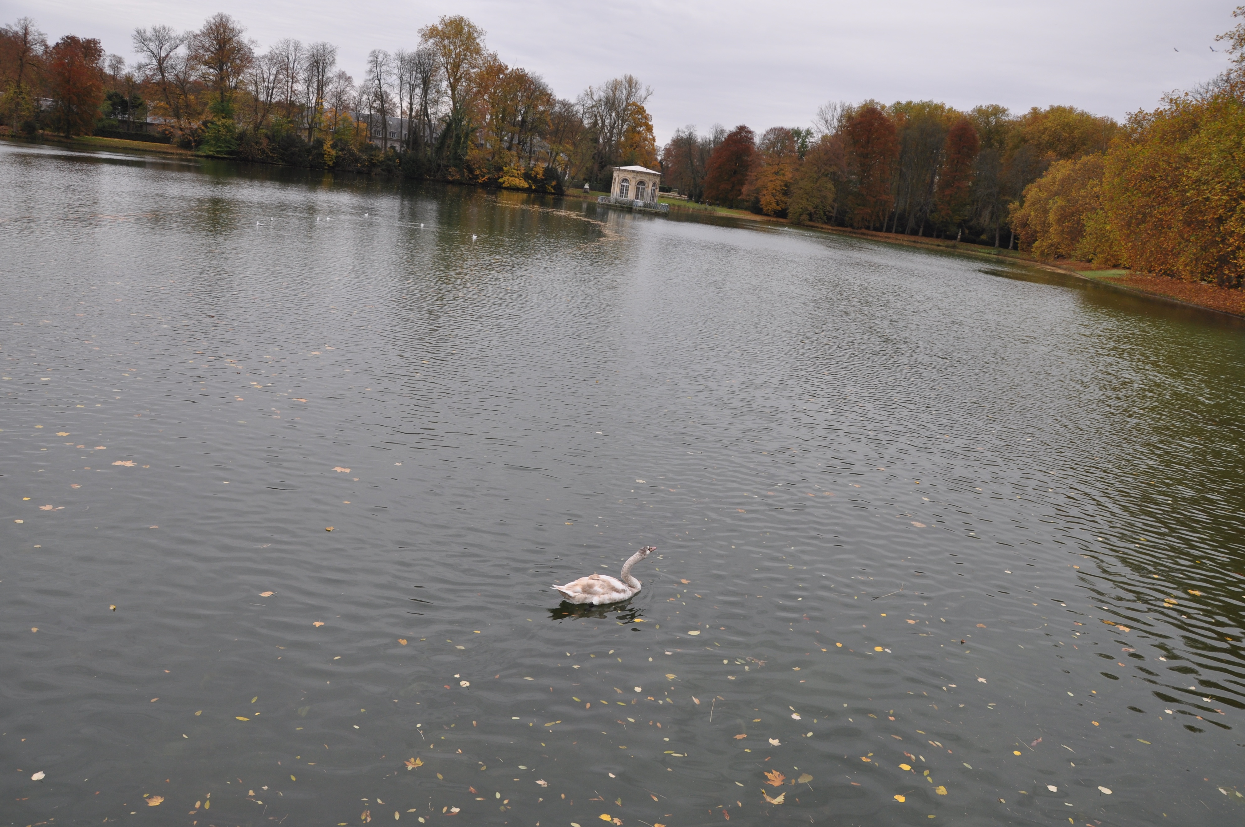枫丹白露宫名字由来,枫丹白露宫殿俯视图解
