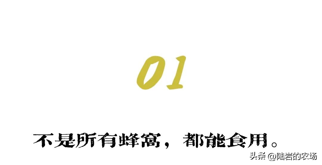 盘点市面五种常见蜂巢