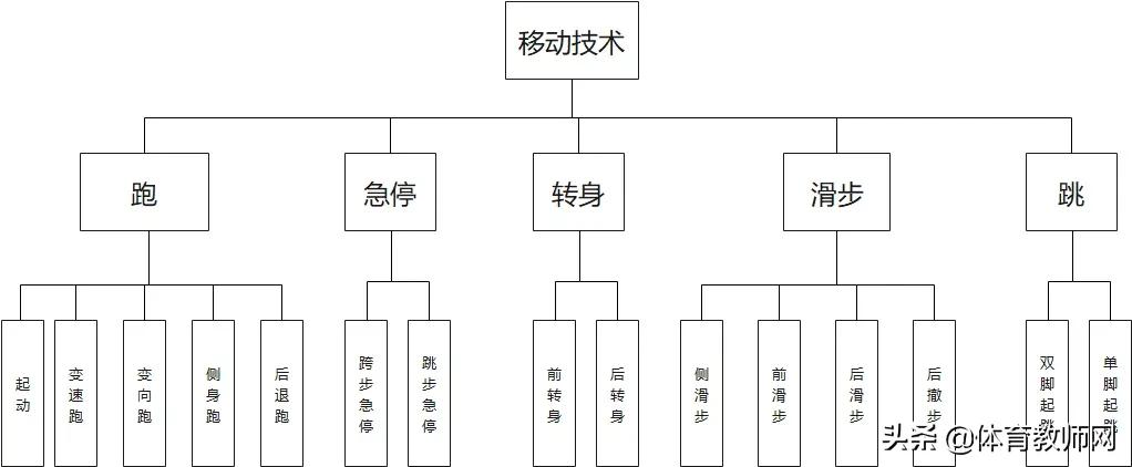 篮球教学基本训练,篮球战术教学基本知识