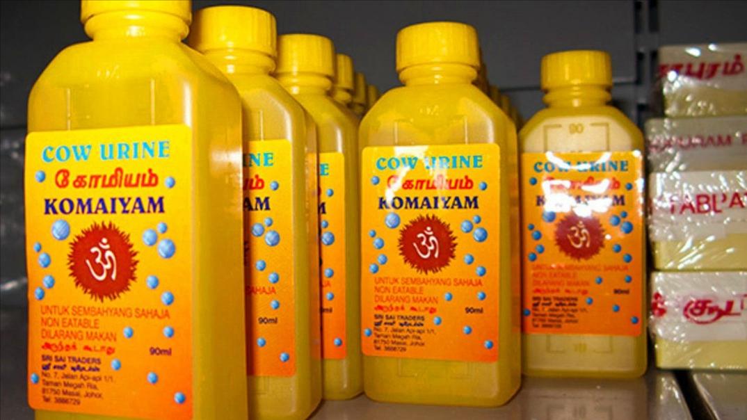 鍗板害鎺ㄥ嚭鐗涚勃鑺墖鏈変綍鐪嬫硶,鍗板害鐗涚勃鑺墖鎺ㄥ箍浜嬩欢