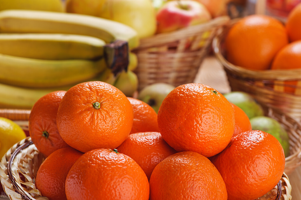 中俄农业合作新政策 (中俄农业合作最新消息)