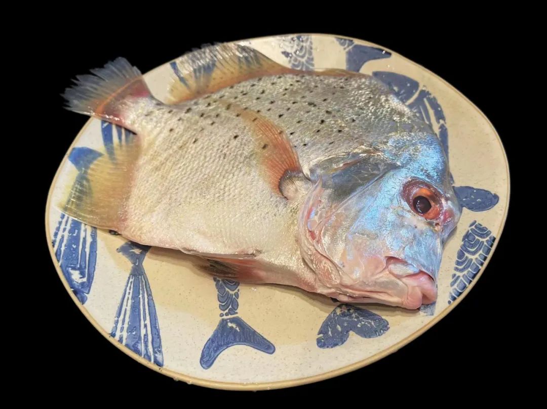 潮爸家4月3日午餐记录，品尝湛江美味海鱼，清蒸鸡笼鲳