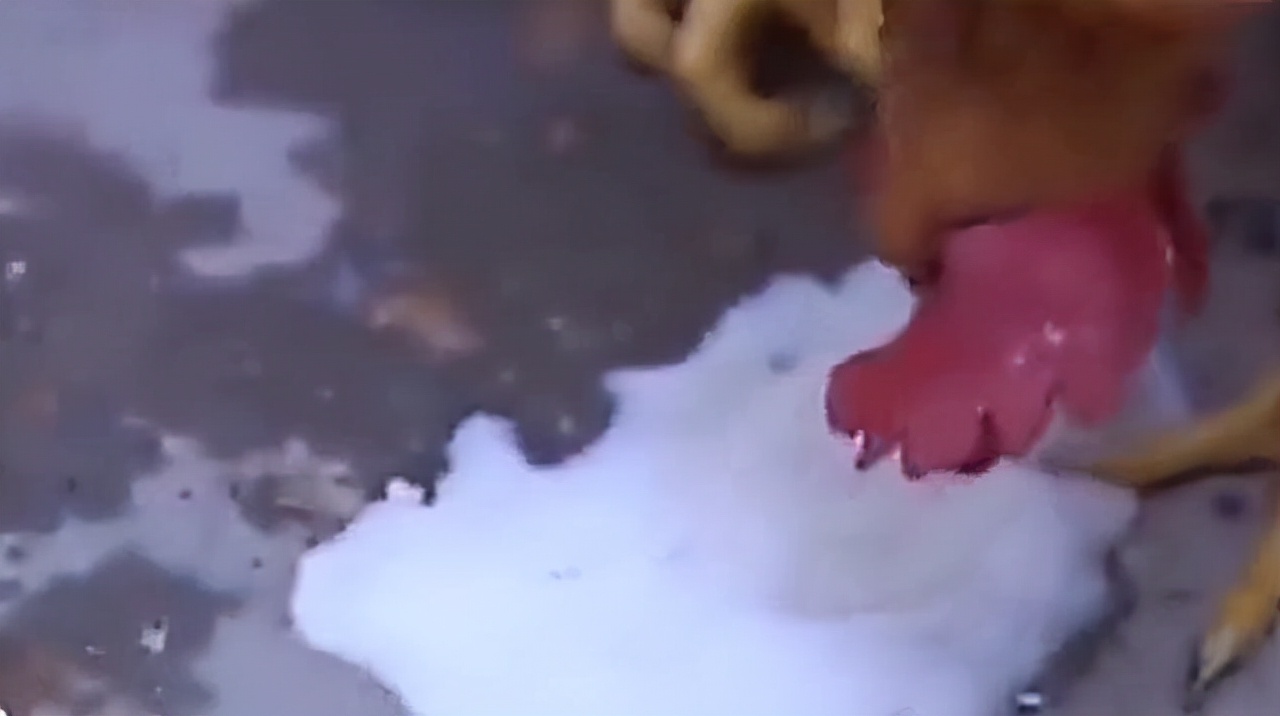 湖南男子身怀神奇解毒术,乡村教师自学中医为孩子以身试药