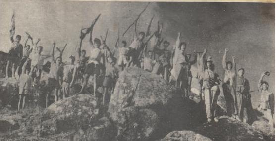 鍙版咕鐗瑰姟,鍙版咕鐗瑰姟鐜扮姸