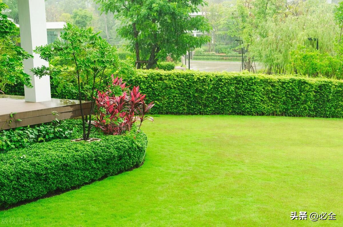 园林草坪选择,草坪园林景观的介绍