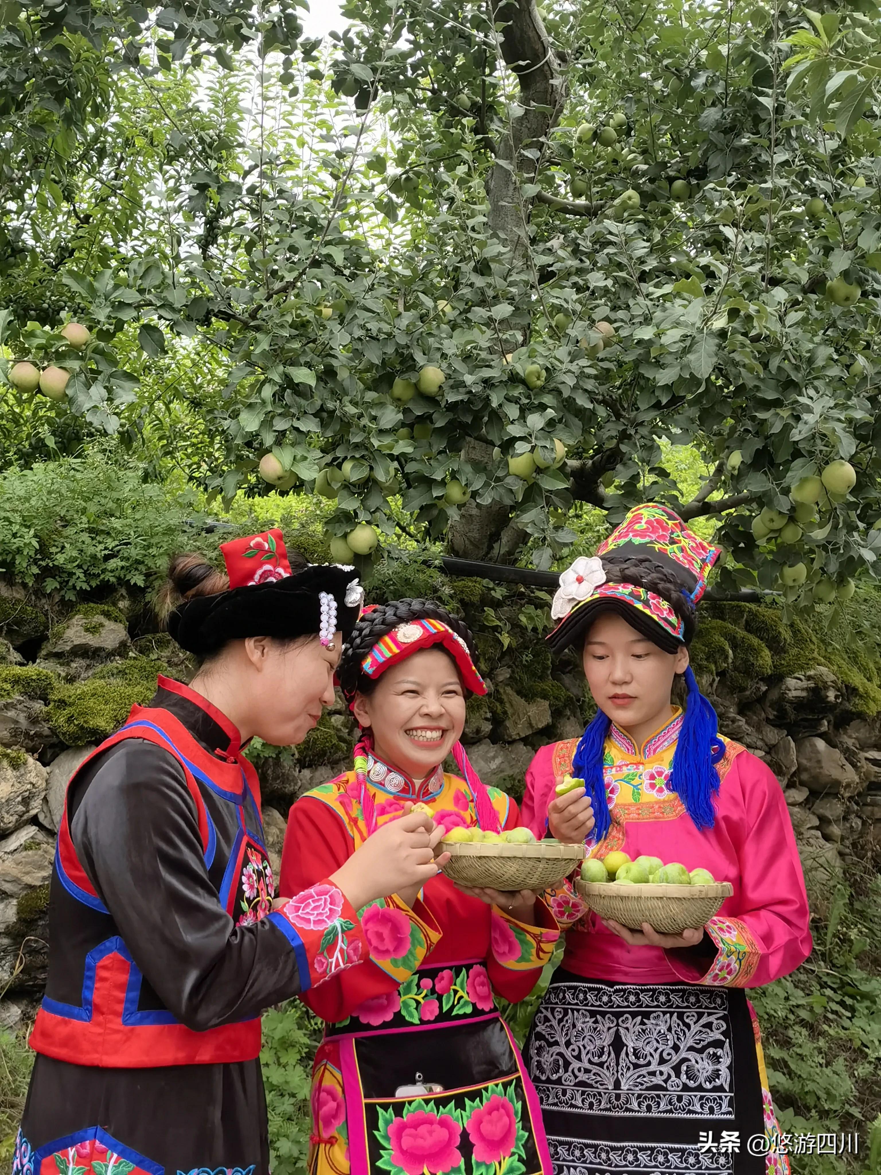 千亩猕猴桃助力乡村发展倍增,七大产业集群引领三农高质量发展