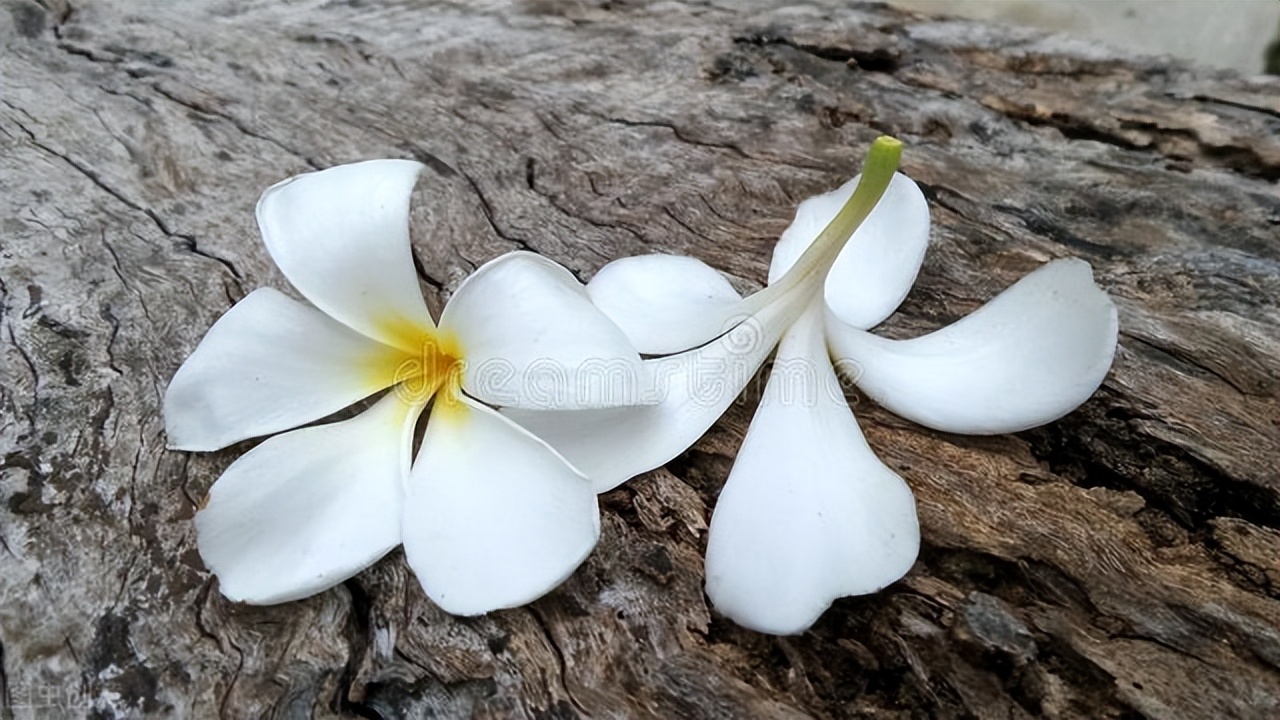 有关于万水千山总是情的古诗,万水千山总是情完整诗句