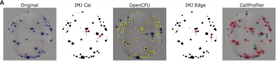 毛滴虫的营养源,毛滴虫营养源是什么