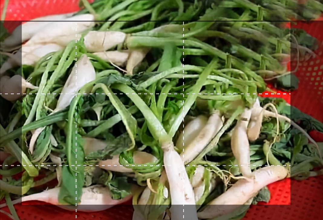 公安私房菜,公安菜特色