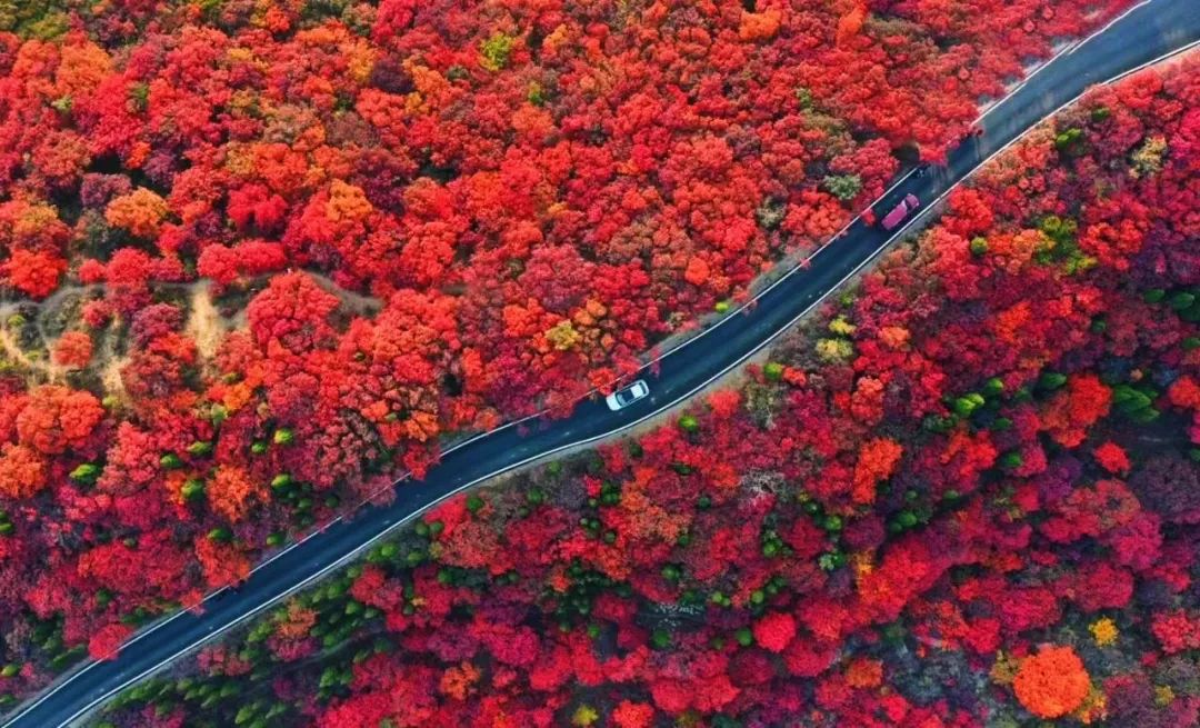整村运营,整村运营顶层策划