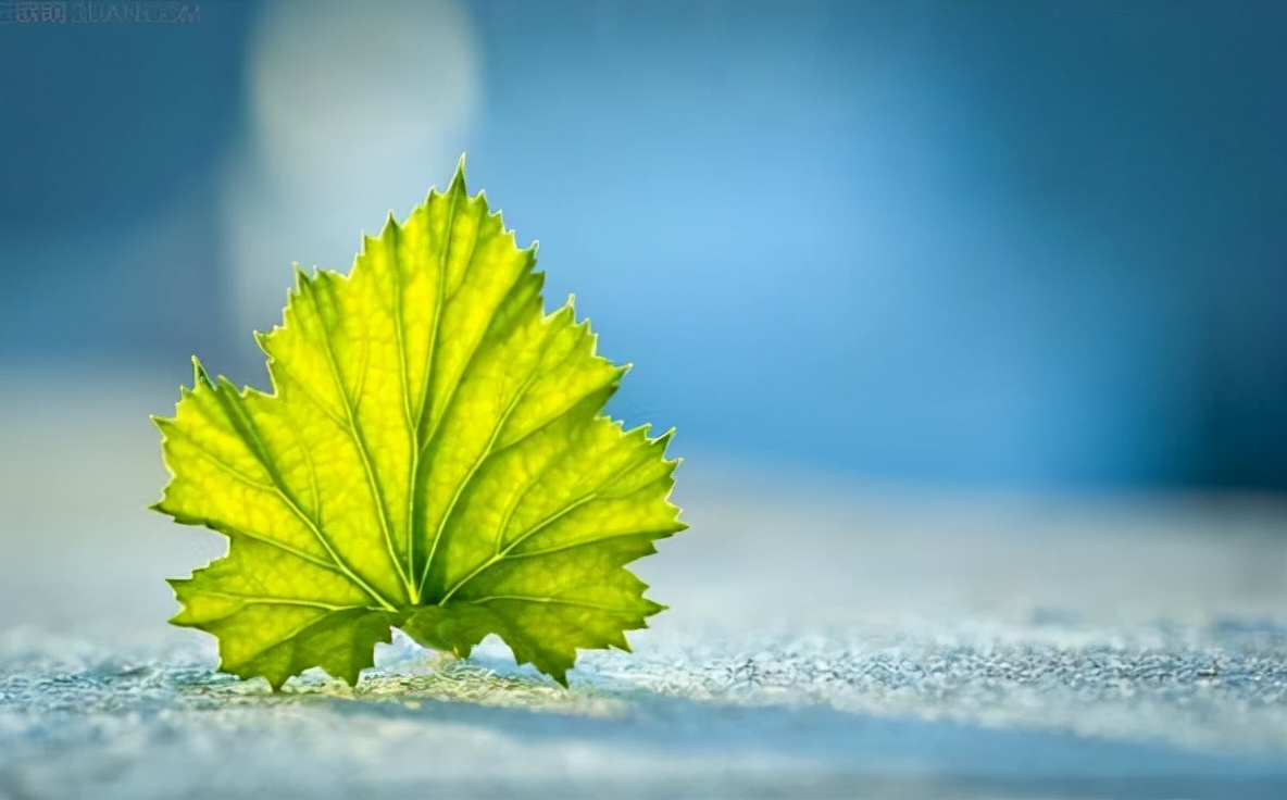 别让父母在你面前变得小心翼翼,父母在子女面前小心翼翼的原因