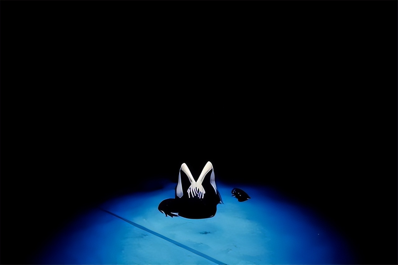 少女负债选择卖淫，因嫖客“下次再给”1000嫖资，连刺其47刀