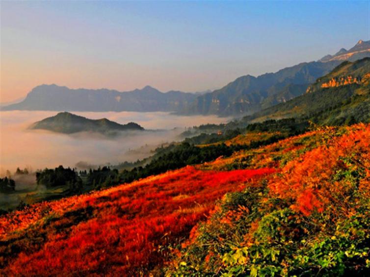 金佛山自驾二日游攻略6人,金佛山2日自驾游详细攻略