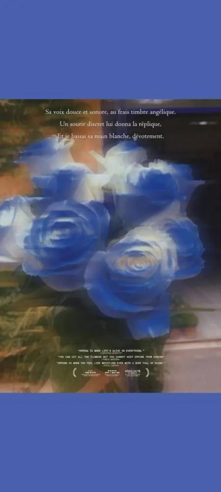 蓝色妖姬花束壁纸,花朵壁纸蓝色