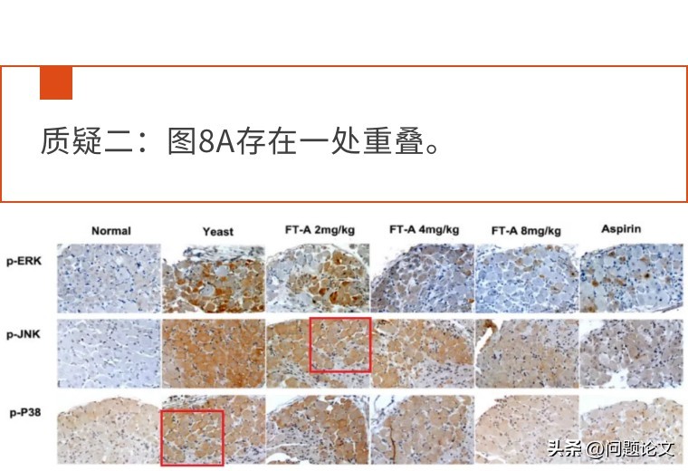 医生学术论文作假严重吗,国外承认中医论文造假事件
