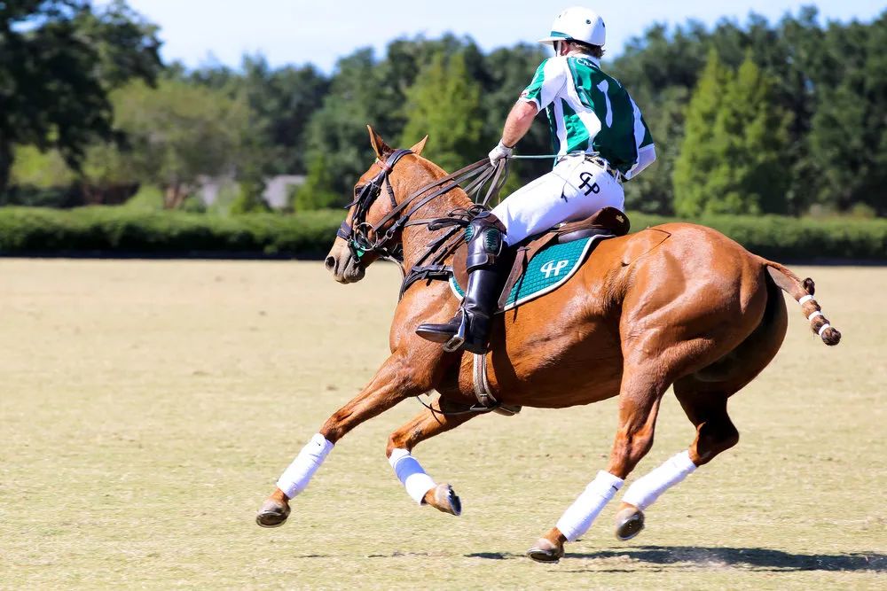 高定位无热炒，这个运动正装通吃的系列可谓样样能打