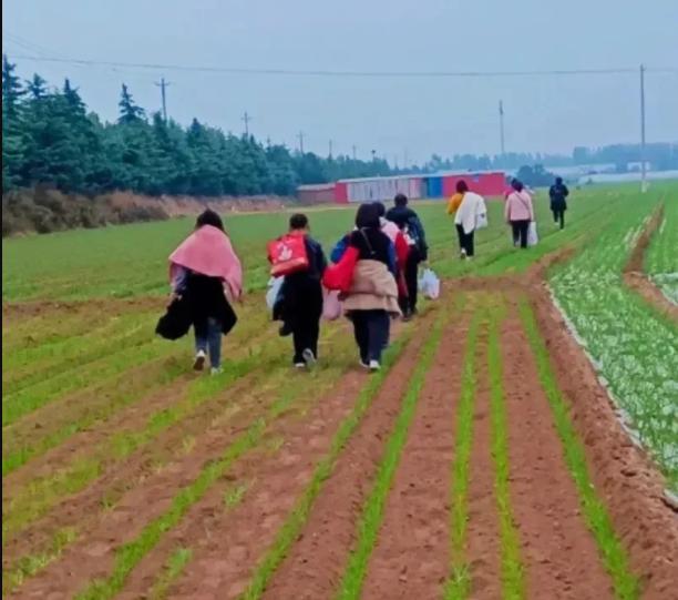 郑州富士康返费靠谱么,郑州富士康返费一万真实么