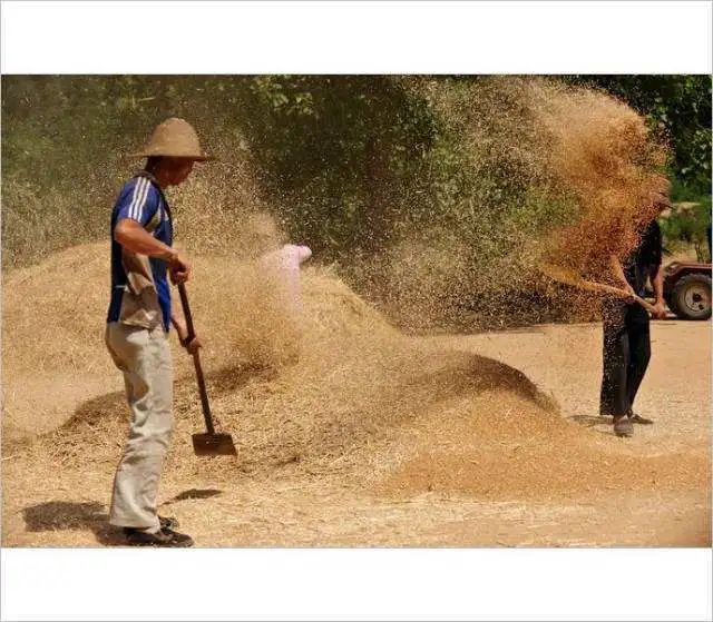 「虚幻与现实」3国人为啥都爱怀旧？大大的一句话把我点醒