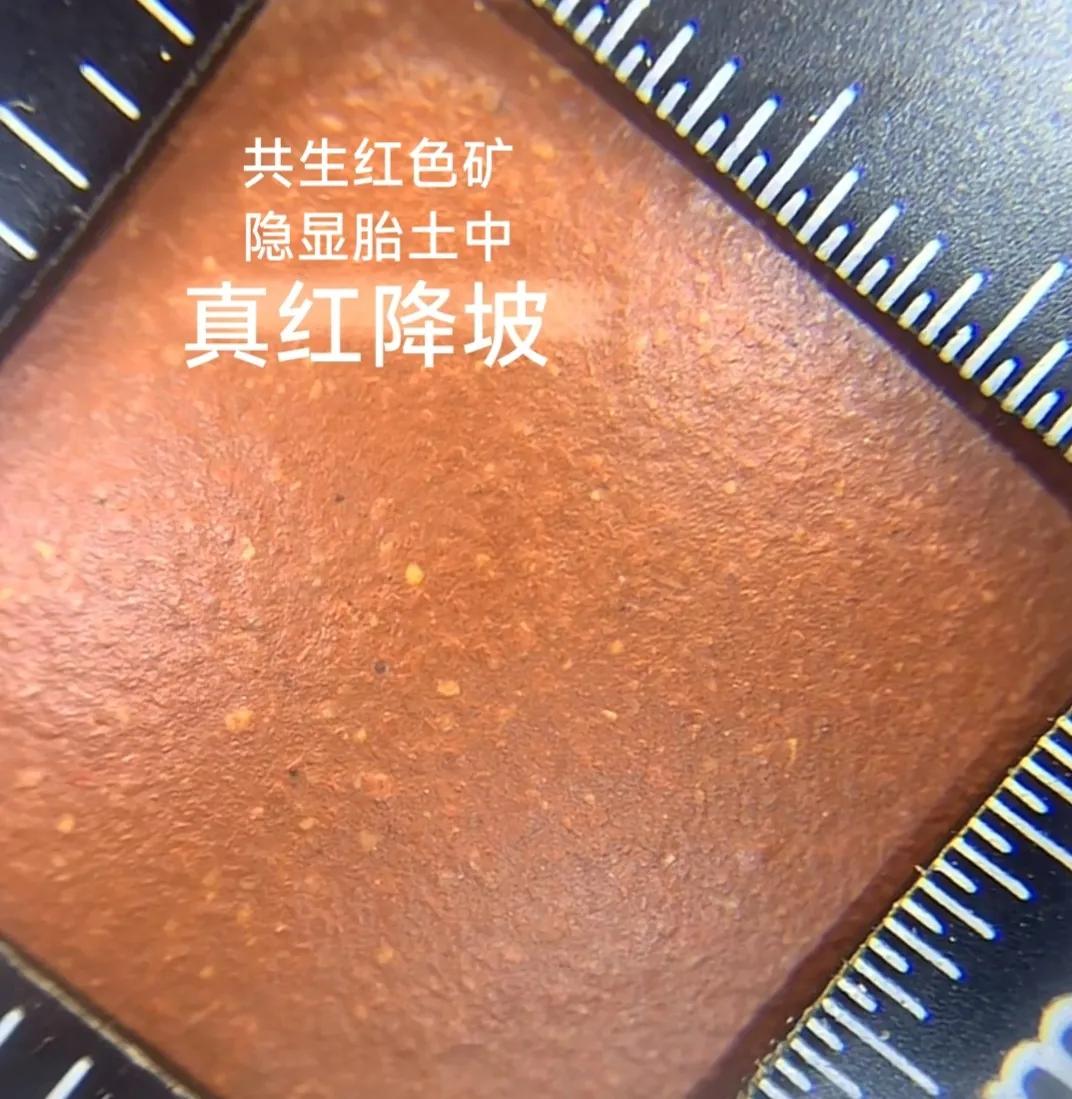 真正黄龙山原矿紫砂壶多少钱,真正的黄龙山原矿紫砂壶