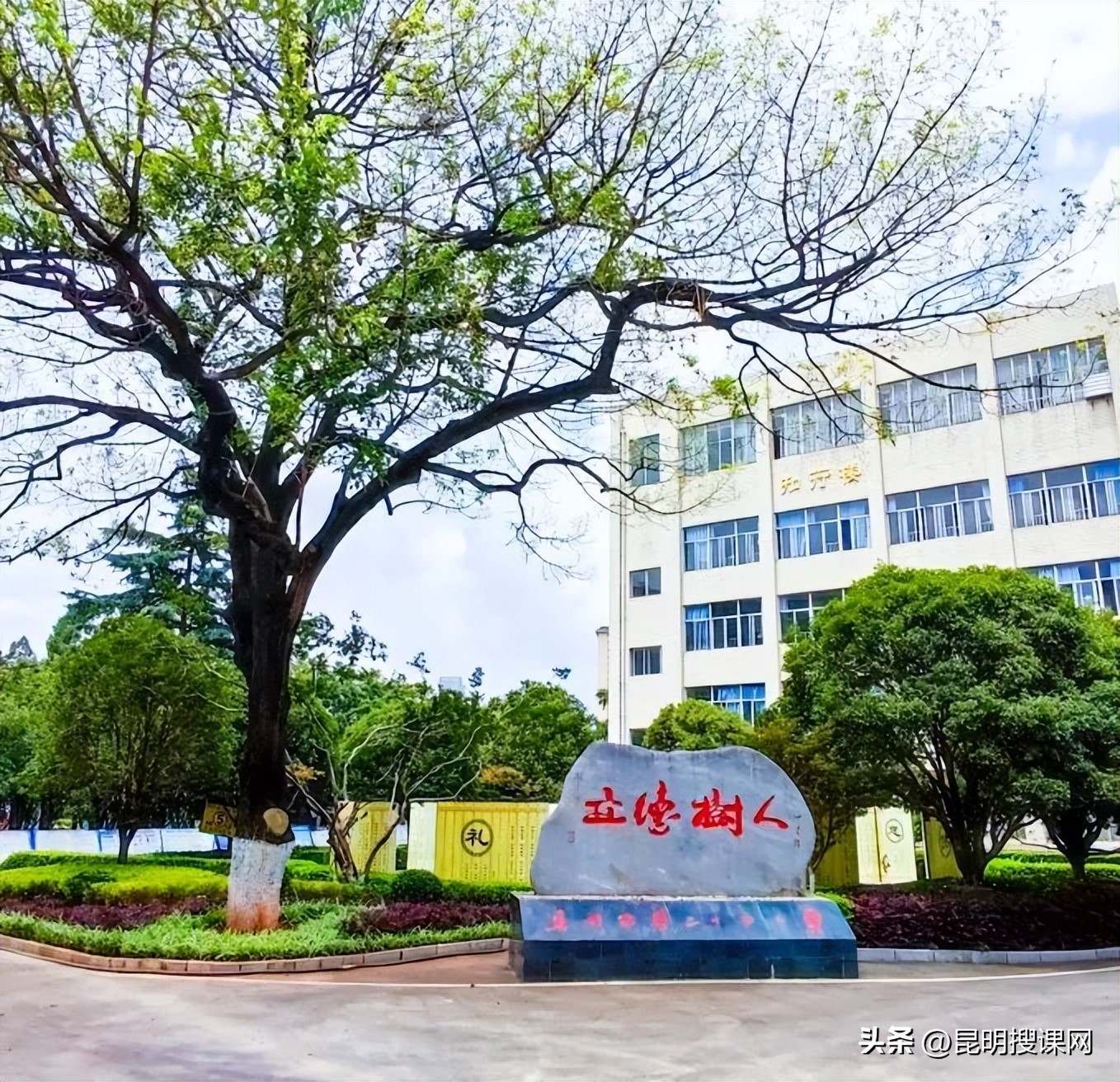 多彩生活缤纷寒假,多彩生活文化活动校园