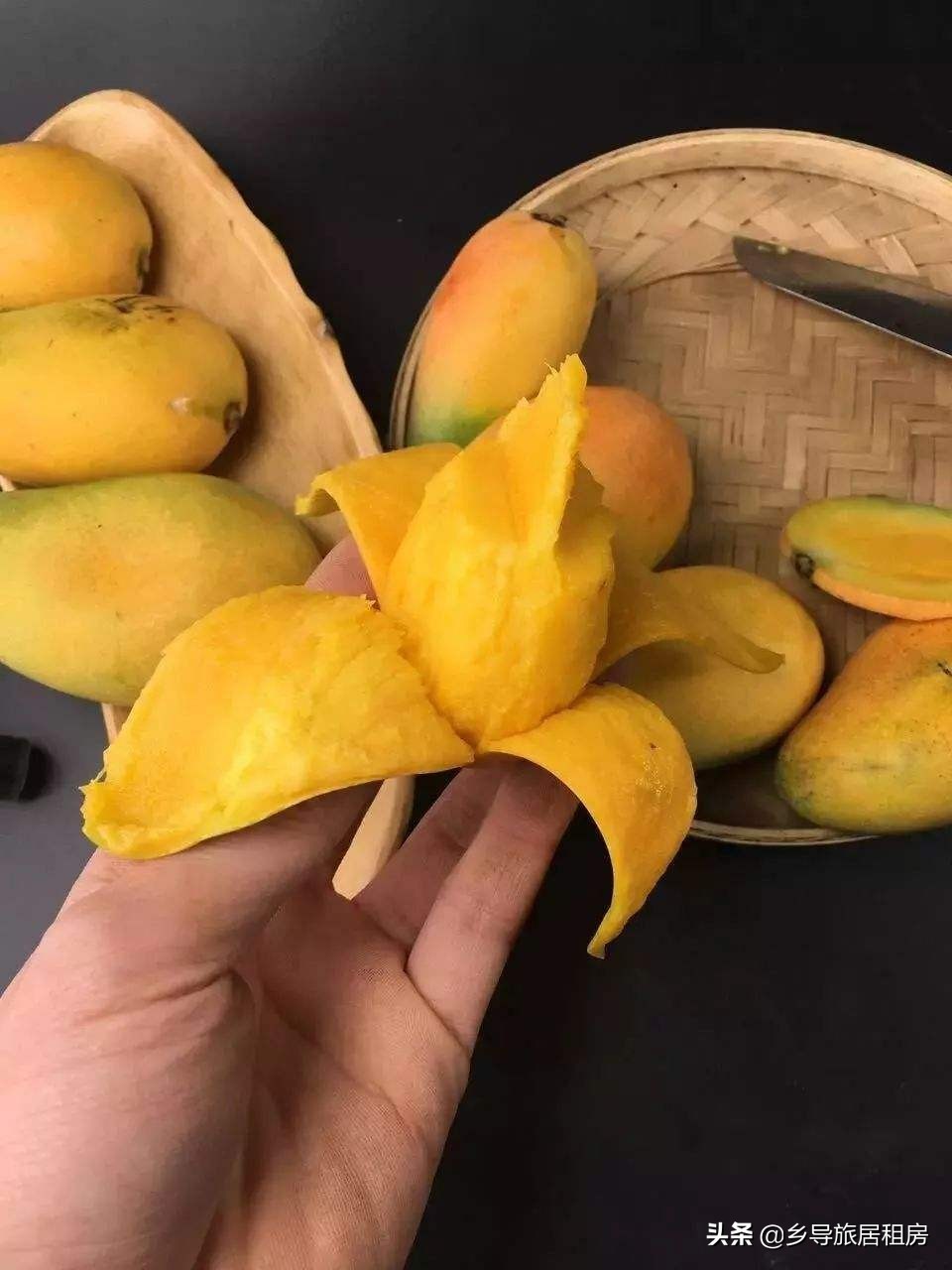 在三亚买芒果攻略,三亚旅游买芒果