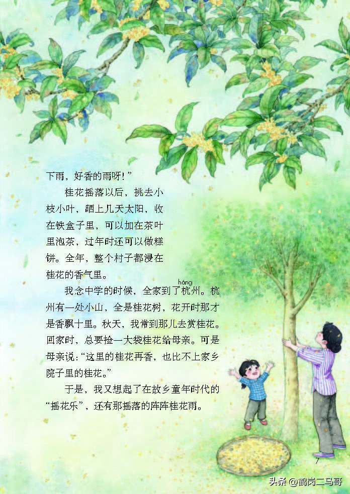 暑假预习语文用什么书,暑假预习的课文开学还要预习吗