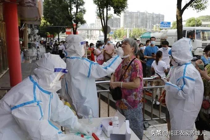 疫情对蜂蜜的影响,蜂蜜是不是可以抗疫情