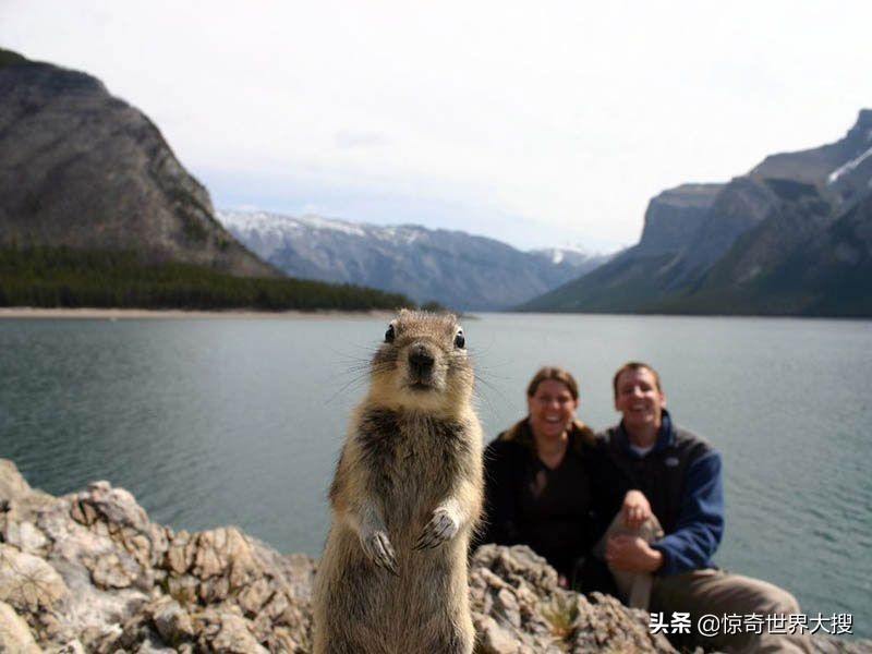 25张万分之一机会拍到的精彩瞬间，晚一秒都拍不到