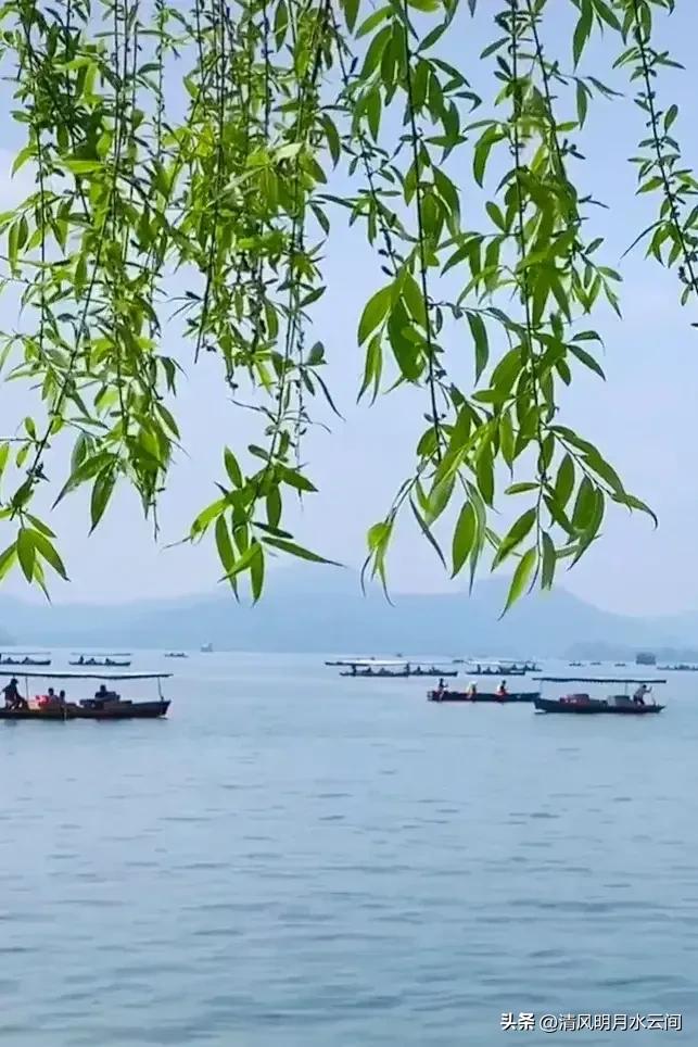 依依垂柳，妖妖春水