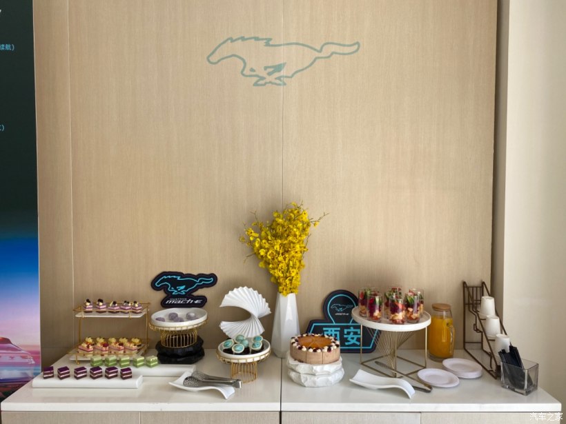 mustangmache车主的真实感受,mustangmach-e提车交付