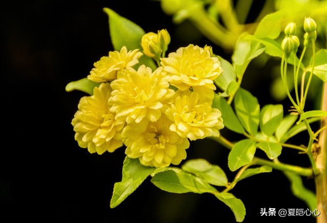 如何处理父母的胡搅蛮缠,如何摆脱胡搅蛮缠蛮不讲理的父母