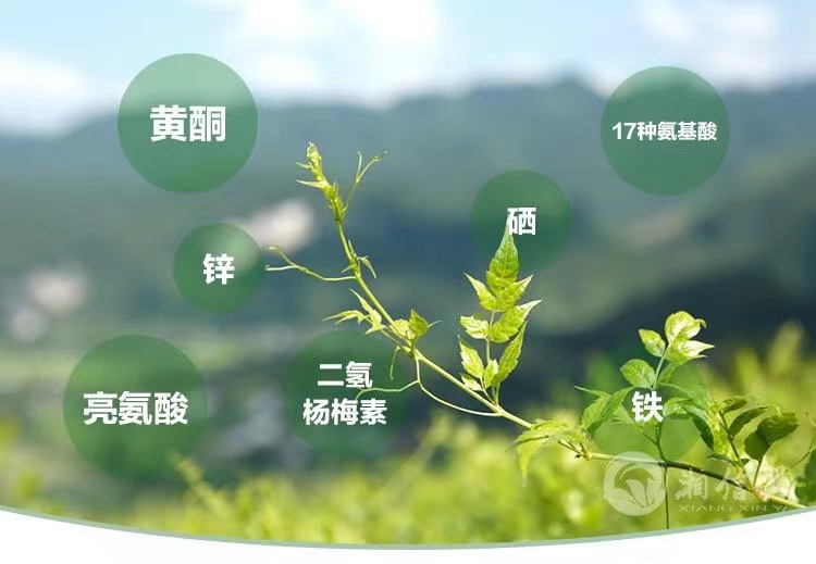 小界莓茶怎么样,特级莓茶哪个牌子是正宗的