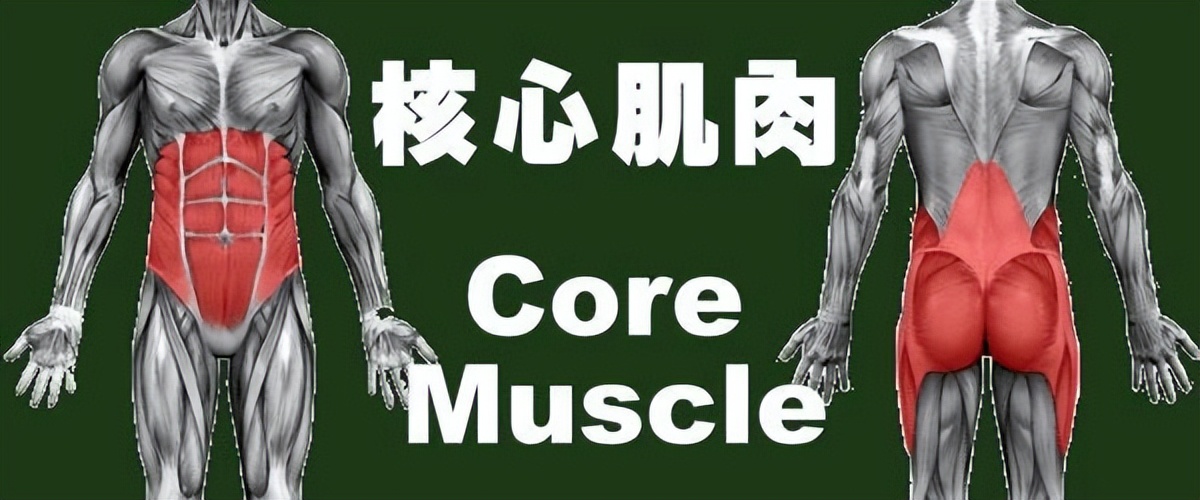 脊柱侧弯做核心训练腰会疼吗,核心床arc脊柱灵活性训练60分钟