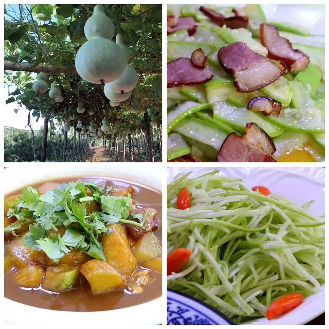 濂変笂5澶т笉鍙敊杩囩殑缇庨绾胯矾鎺ㄨ崘,濂藉悆鐨勭編椋熸帹鑽愯繎鍦伴搧