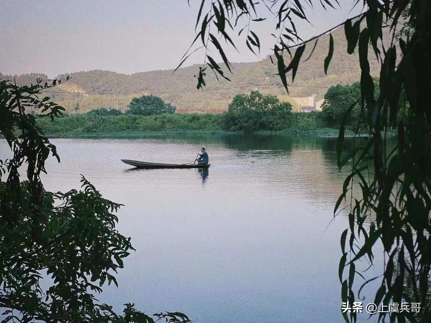 上虞毛大蟹,上虞海滩蟹