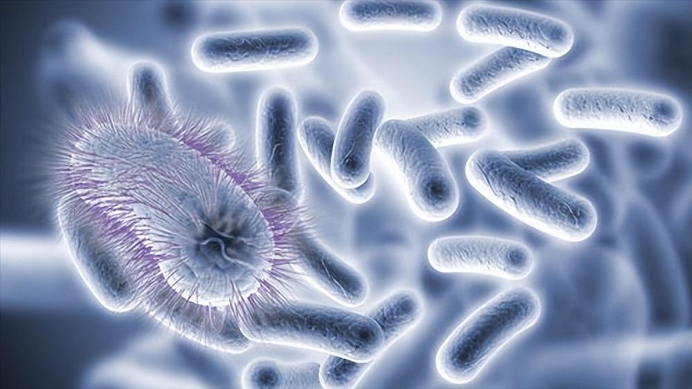 女性屁股上长满痘痘什么原因,女性臀部前面生毛怎么消除