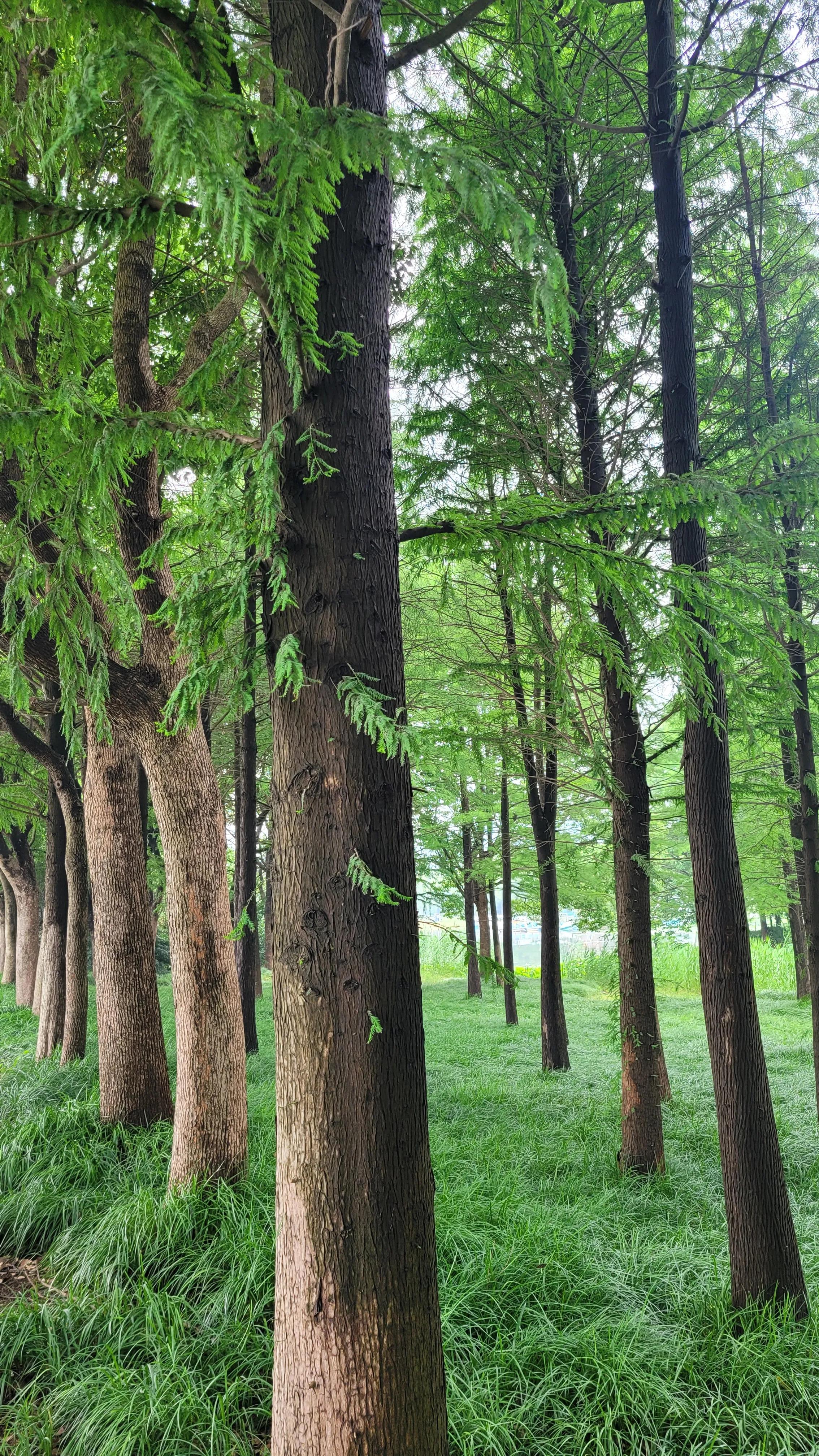 无锡太湖十八湾起点,无锡太湖十八湾在哪