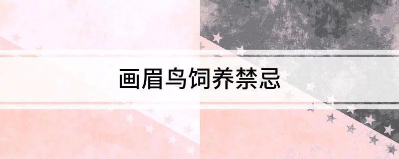 下山画眉鸟如何饲养,新手怎么养野生画眉