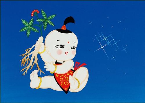 长白山挖参人发现160年老山参,长白山挖参故事