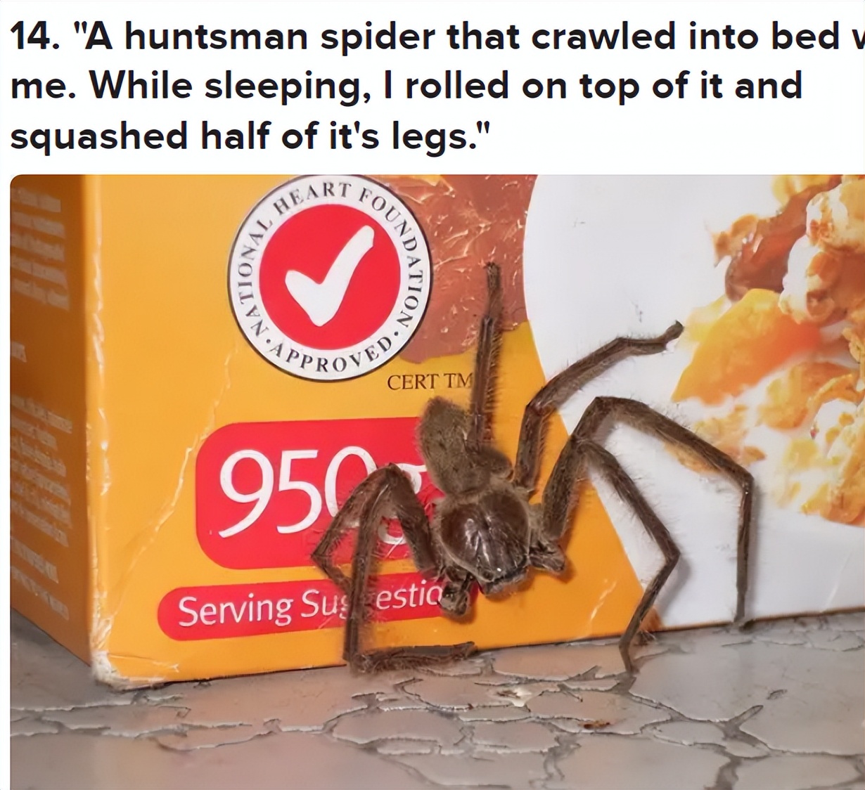 被毒的动物咬了会发生什么,亲身体验被有毒的动物咬