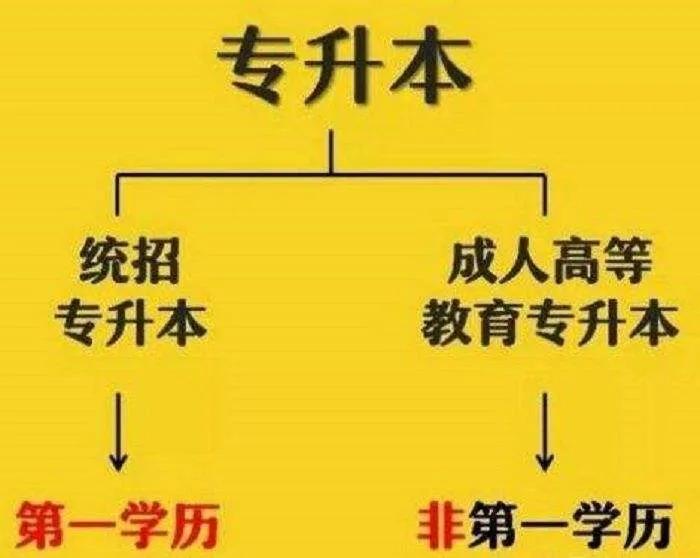 专升本难不难需要准备什么,专升本难吗流程是什么