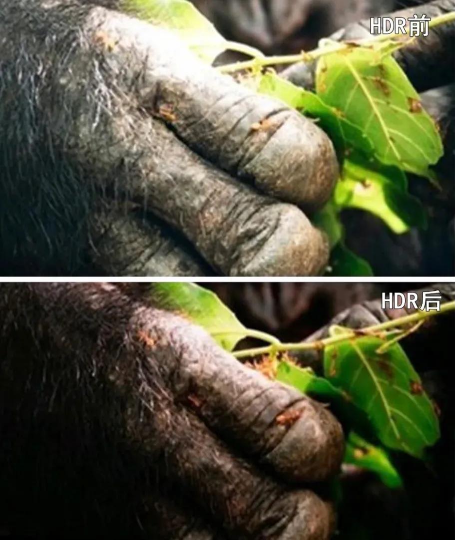 追了一部剧感觉好迷茫,终于知道电影和电视剧的差别