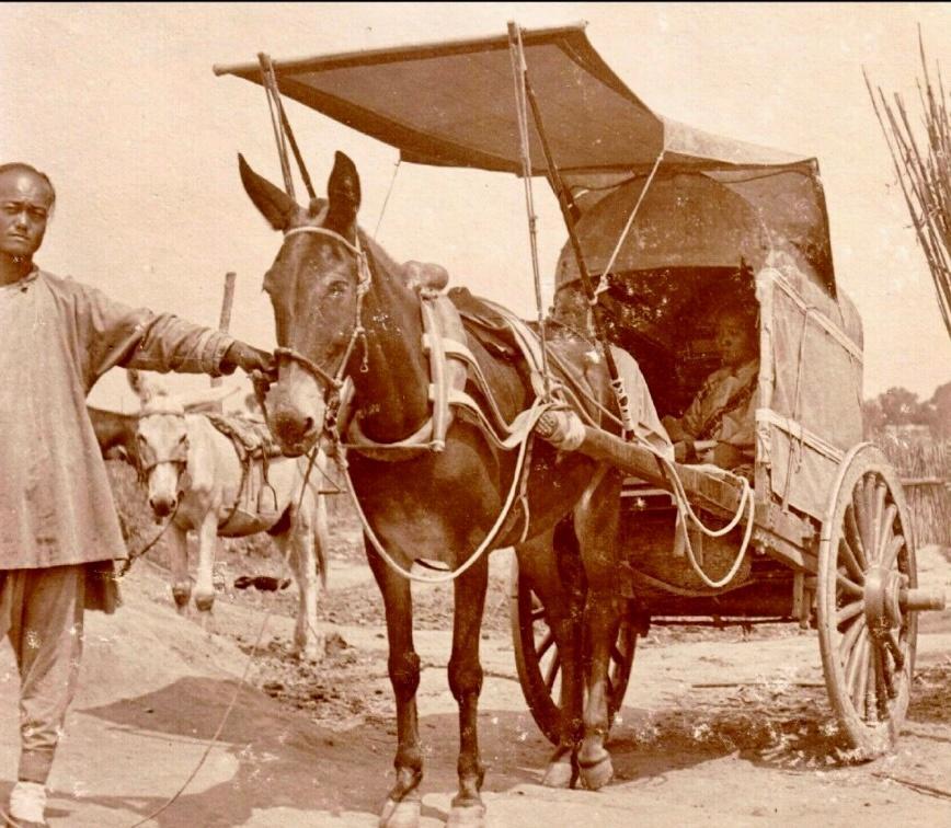 女子穿侵华日军服装摆拍新闻视频,女子身着日本侵华军装露脸