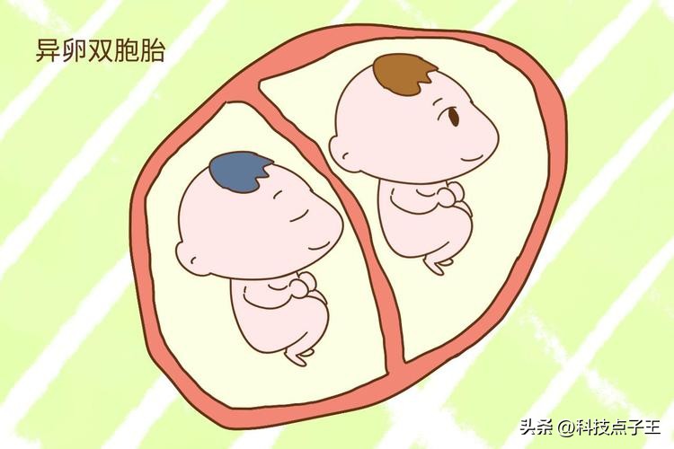 孩子会不会长得像前男友？那些没有成功的精子，最终去了哪里？