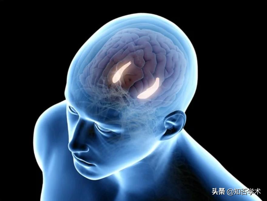 大脑欺骗实验,大脑欺骗视觉还是视觉欺骗大脑