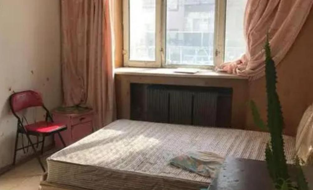 河南女子出租屋“躺平”8年,每月只花500,竟“疗愈”了自己