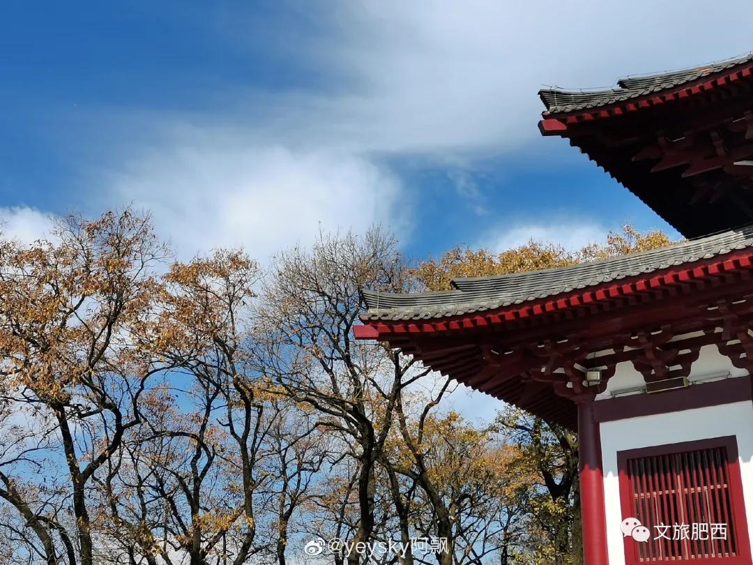 原来，在社交平台中，肥西的真实风景是这样的