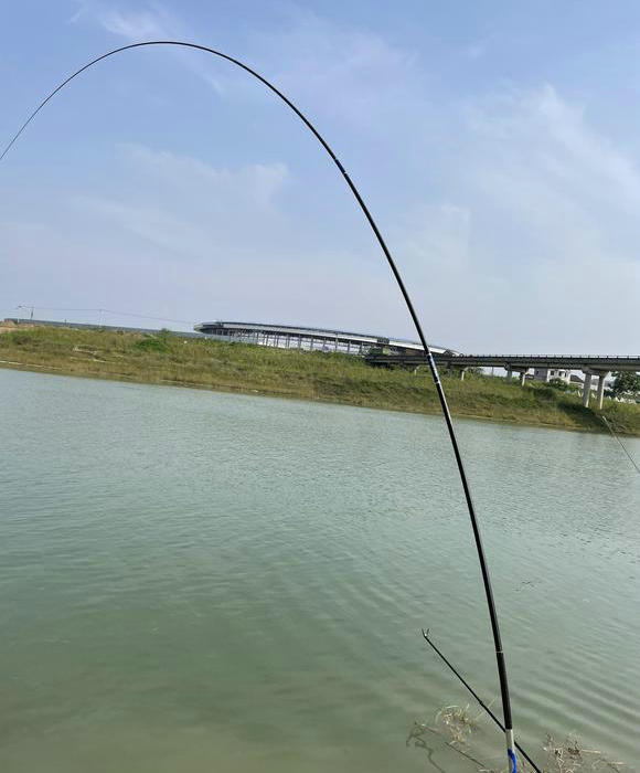 50斤的鲤鱼有多长多宽,50斤鱼算大吗