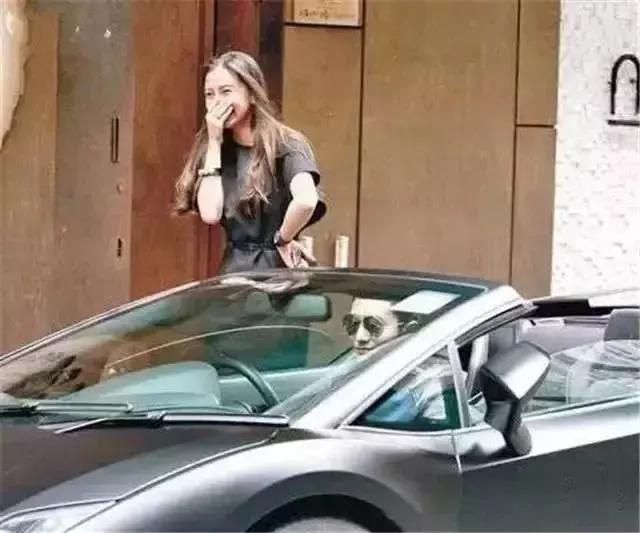 袁咏仪vs佘诗曼,袁咏仪和张智霖相差多少