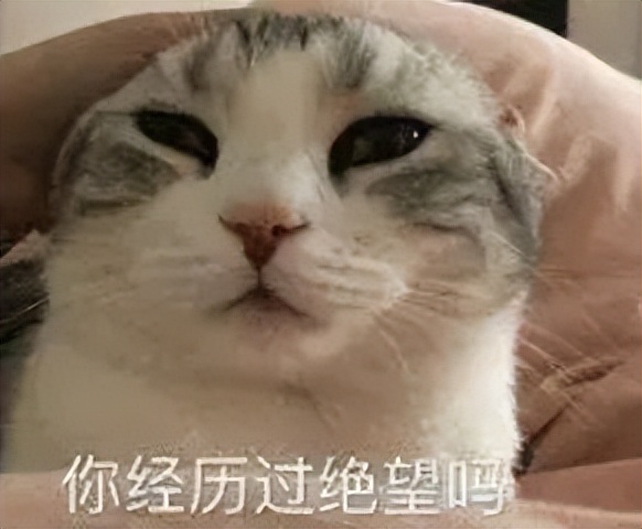 香港体育团体,香港体育协会是什么机构